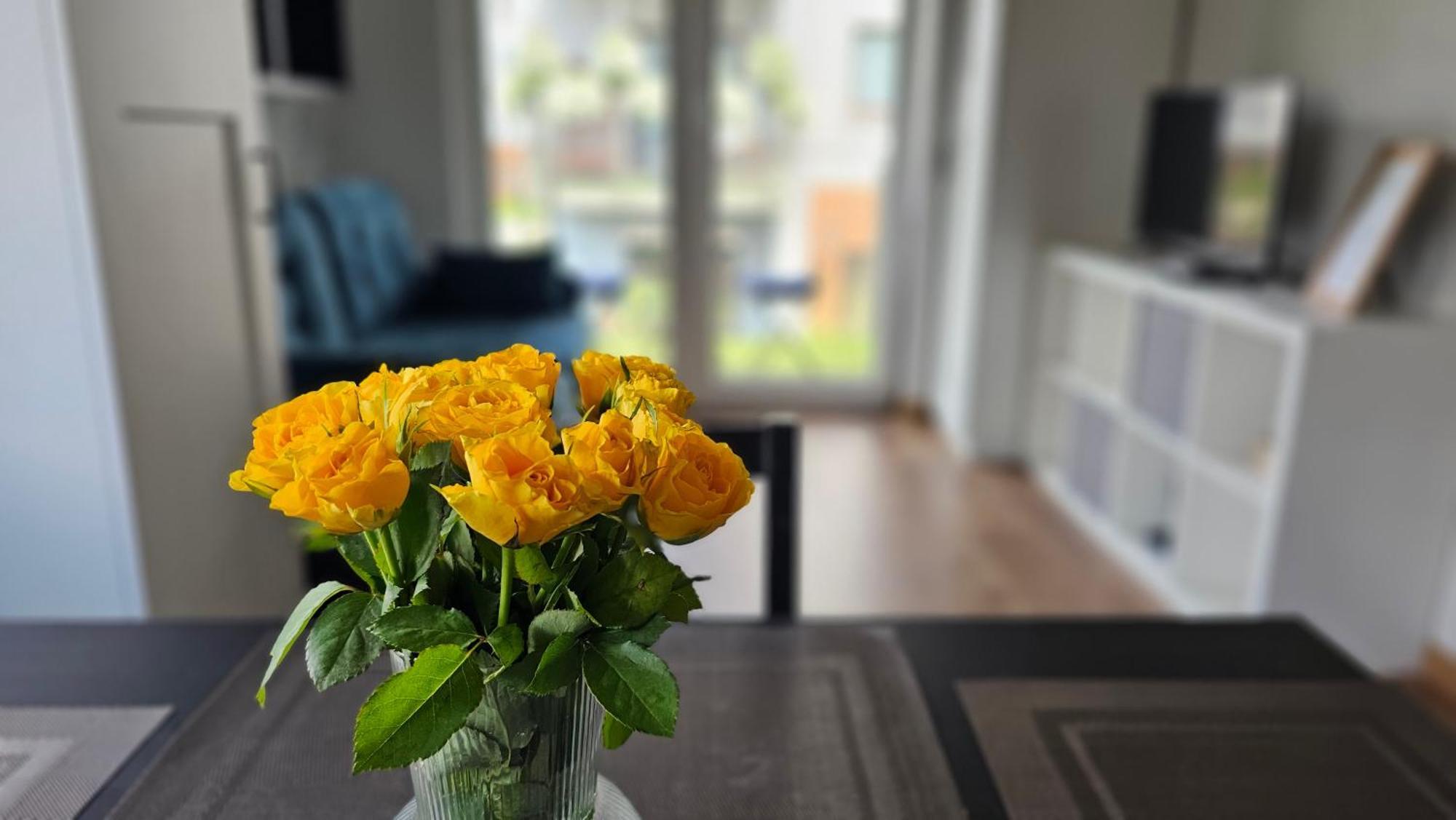קרקוב Apartment Bunscha Park מראה חיצוני תמונה
